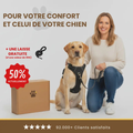 Antitractionssele för Hund