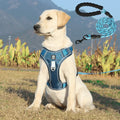Arnés antitirones para perros con acolchado cómodo – PullFree