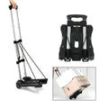 Folding trolley with telescopic handle