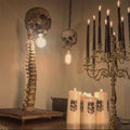 Horror Totenkopf med ryggrad lampa